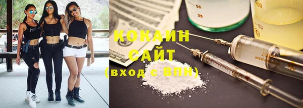 амф Алзамай