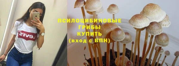 шишки Аркадак