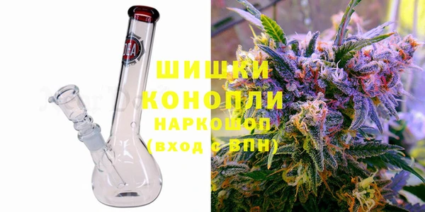 шишки Аркадак