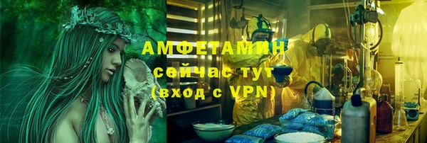 шишки Аркадак