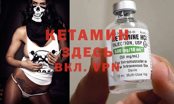 шишки Аркадак
