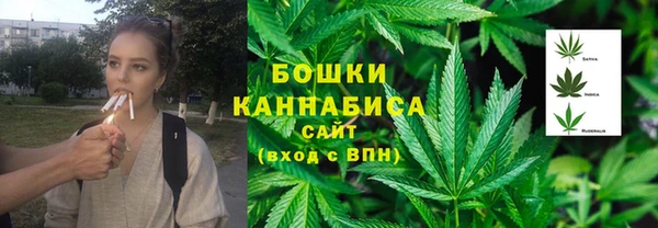 шишки Аркадак